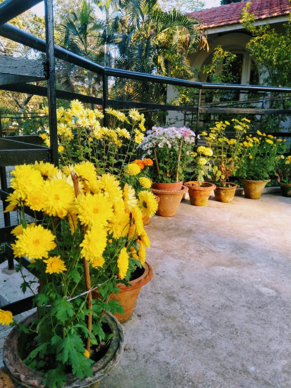 Chaiti Eco Homestay- Santiniketan בולפור מראה חיצוני תמונה